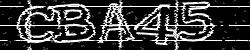 Change the CAPTCHA code
